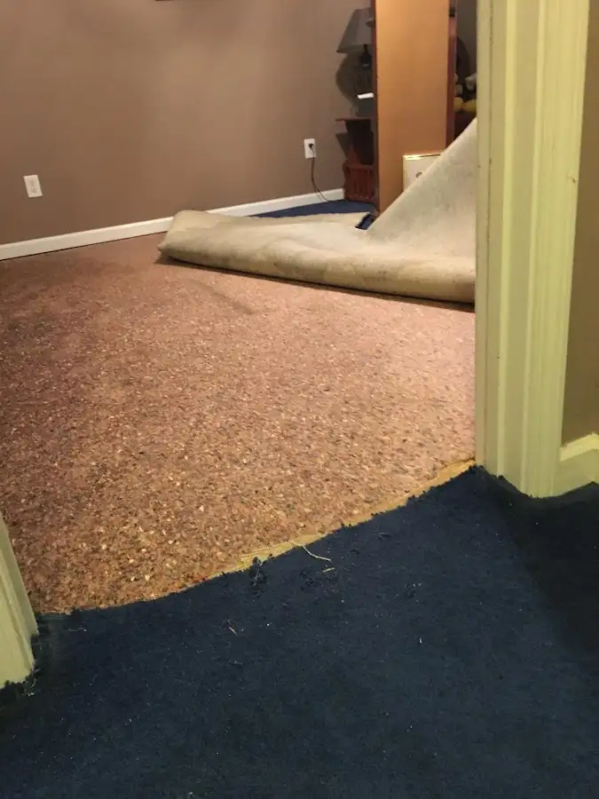 Carpet pad removal revealing water damage during Drying & Dehumidification in Willow Springs