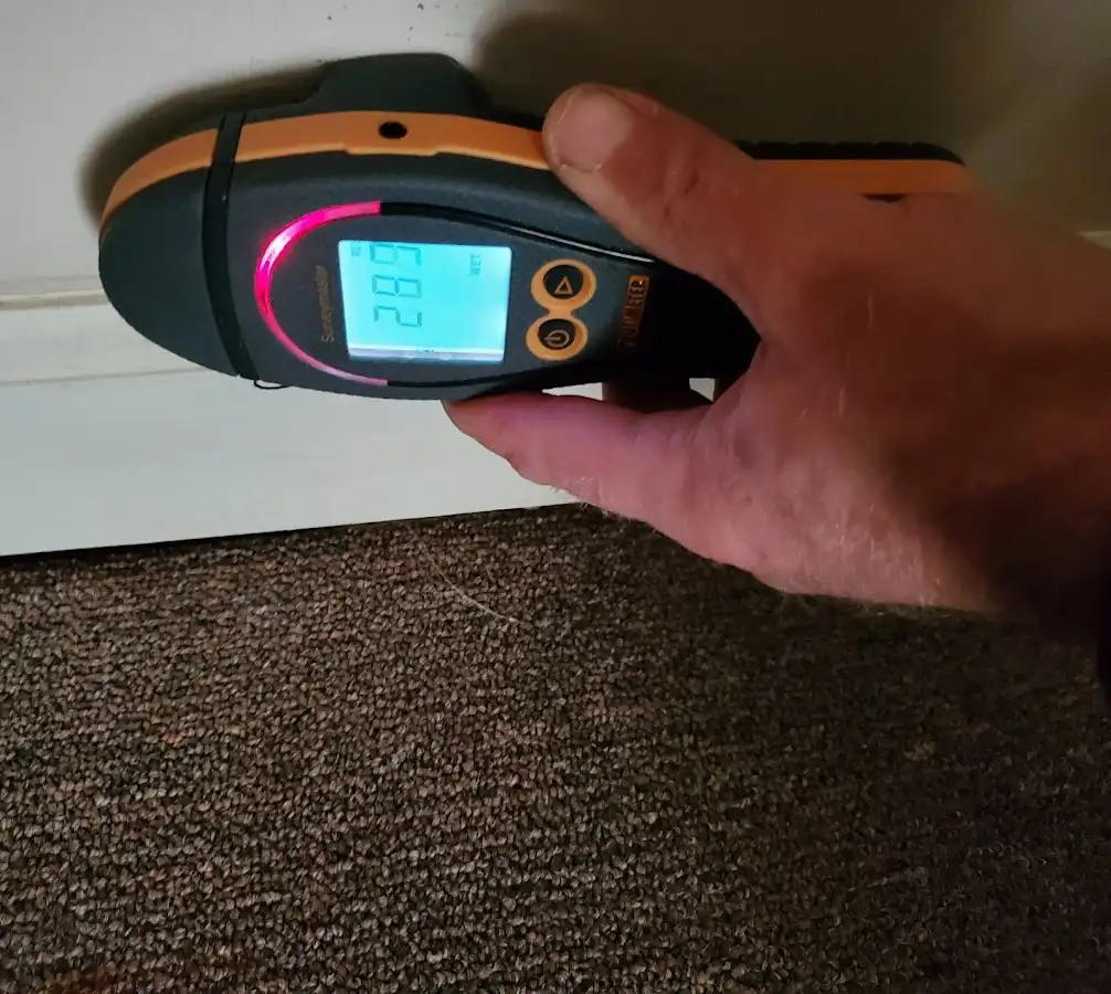 Moisture detection at baseboard during Sewage Cleanup & Sanitation in Willow Springs